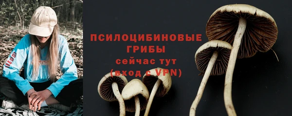 mix Белокуриха